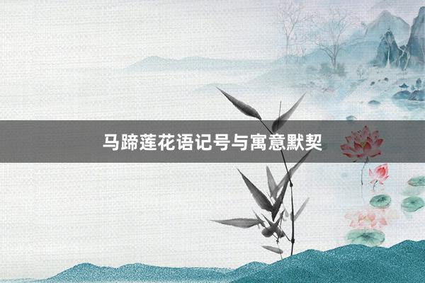 马蹄莲花语记号与寓意默契
